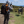 Avatar of NCJeepin7